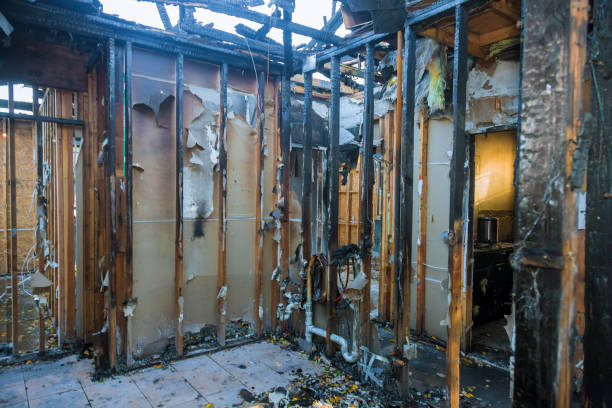 Professional Fire Damage Removal technician working in Braham, MN